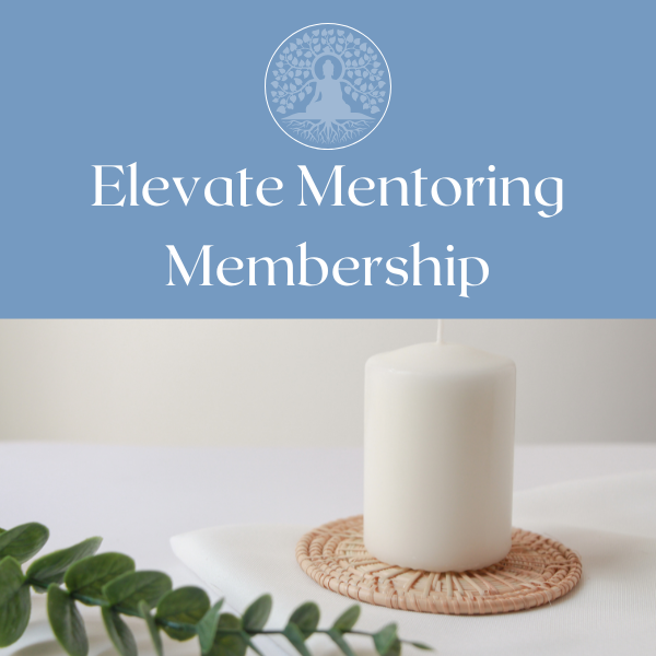 Kairos Elevate Mentoring Membership $120